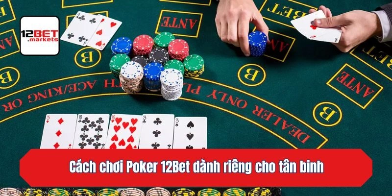Cách chơi Poker 12bet dành riêng cho tân binh