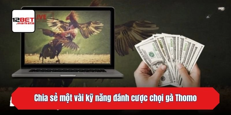 Chia sẻ một vài kỹ năng đánh cược chọi gà Thomo