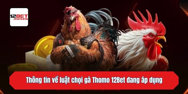 Thông tin về luật chọi gà Thomo 12bet đang áp dụng